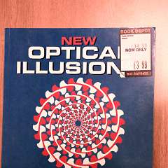 26: New Optical Illusion