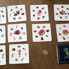 19: Pictures Pairing Board Game 54 Sheet Animal