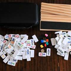 5: Domino Number- Mexico Train 12