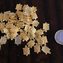 15: Zlate_korytnacky