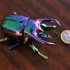 39: Pohyblivy_chrobak