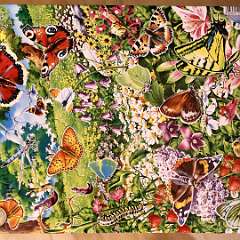 7: Puzzle Motyle