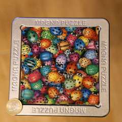 7: 3D Magne Puzzle-Bugs 16