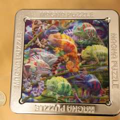 6: 3D Magne Puzzle-Chameleons 16