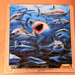 18: 3D Magne Puzzle-Haie 64