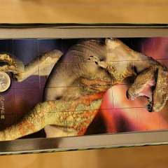 16: 3D Magne Puzzle-Tiranosaurus 32