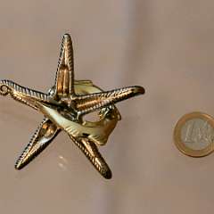 2: Hanayama Cast Starfish