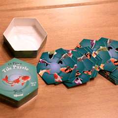 13: Fish Tile Puzzle