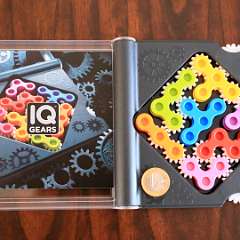 10: IQ Gears