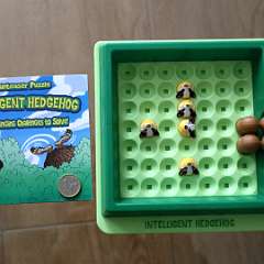 5: Intelligent Hedgehog