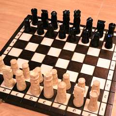 14: Chess-Mumici