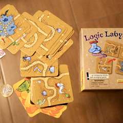7: Logic Labyrinth HABA