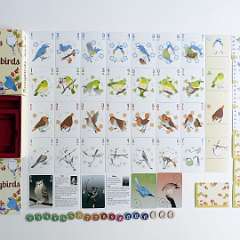 2: Songbirds