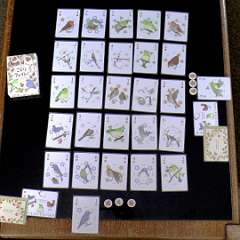4: Songbirds2