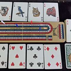 42: pic9519561