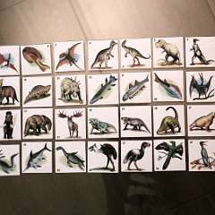 33: IMG_4037