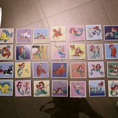 50: IMG_4056