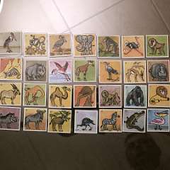 74: IMG_4082