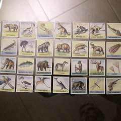 77: IMG_4085