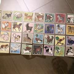 80: IMG_4088