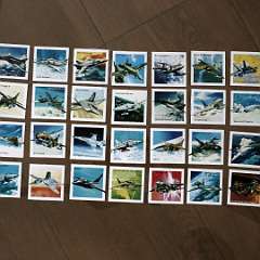 99: IMG_4109