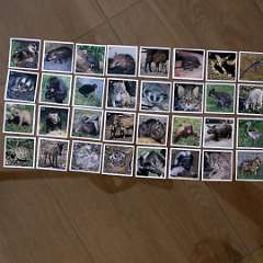 136: IMG_4146