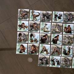 137: IMG_4147