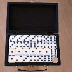 2: Domino 6