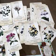 17: Botanical Oracle Cards 45PCS Tarot Card