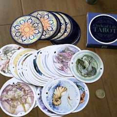 14: Circle Of Life Tarot Fortune Telling