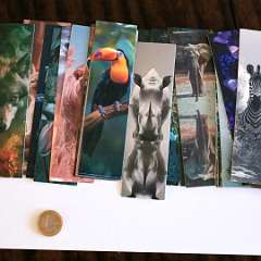 30: IMG_7596
