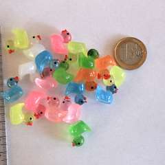 62: IMG_7607