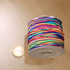 37: IMG_4525
