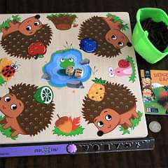 4: Hedgehog_Shape_Sorting
