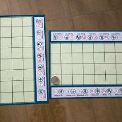 15: Banqi