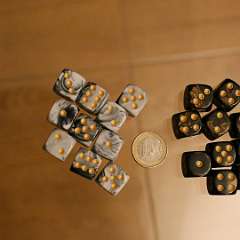 39: Dices08