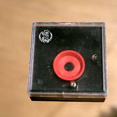 106: IMG_5604