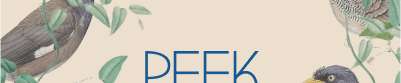 PeekaBeak