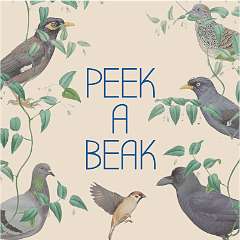 PeekaBeak