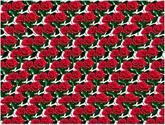 62bb93b0-a0b8-4d6a-b57c-680e956d7bcb