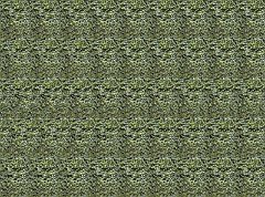 715b48f076_8052370_o2