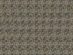 cd6440db51_8052409_o2