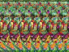 stereogram 66 veverka