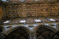 IMG_7742