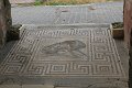 IMG_7050