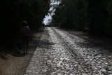 IMG_7365