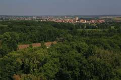 14: IMG_0257