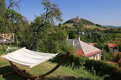 2: IMG_3868